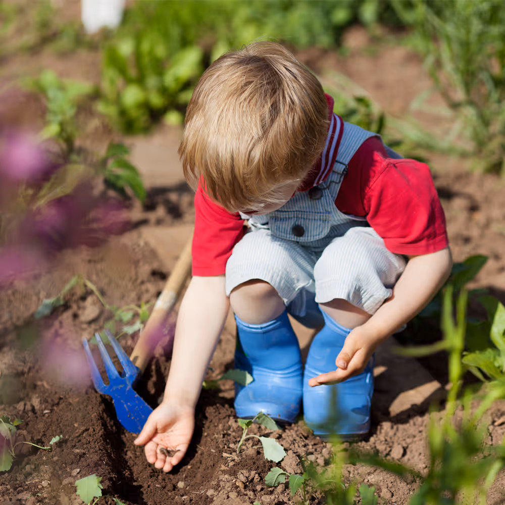 Young child wearing blue boots and a red shirt planting seeds in a garden bed with a small blue gardening fork nearby.