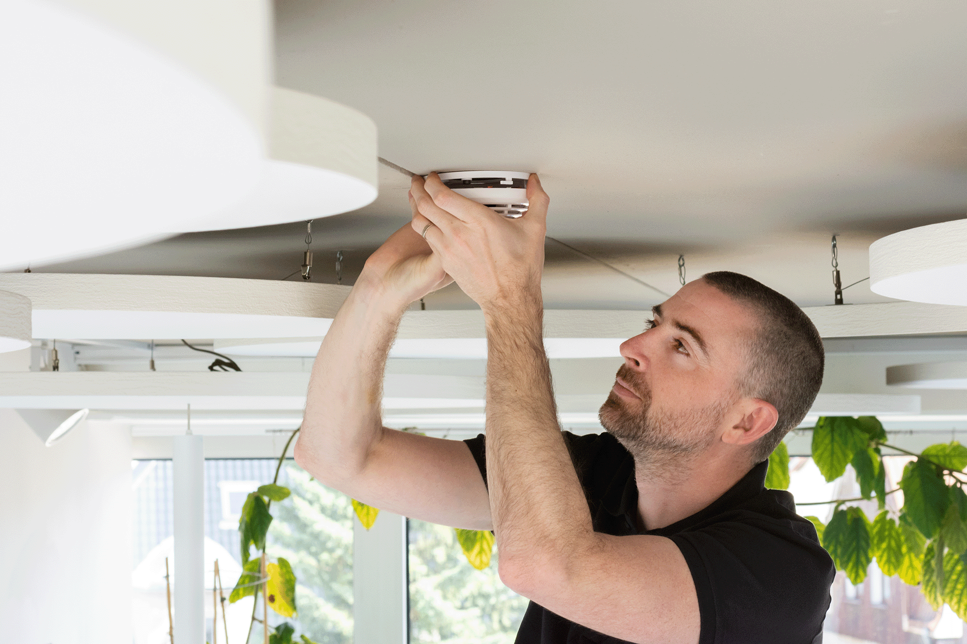 Ein Mann installiert einen Rauchmelder an der Decke in einem Raum mit modernen Leuchten und Pflanzen.