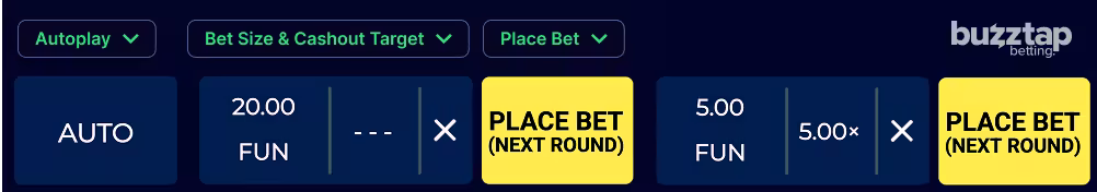 A screenshot of the in-game dual betting panel for Space Meow