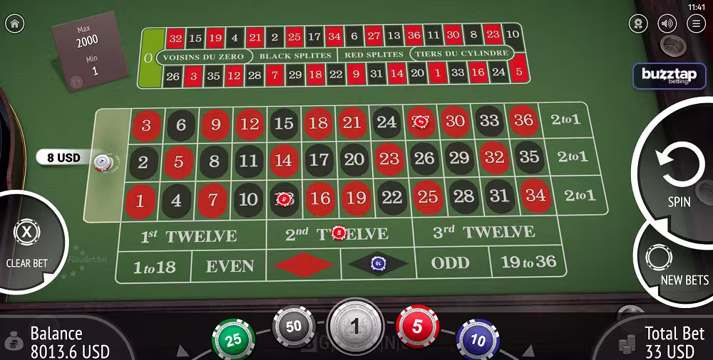 European Roulette gameplay screenshot