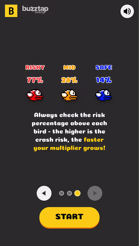Lucky Bird crash gameplay screenshot of the rules
