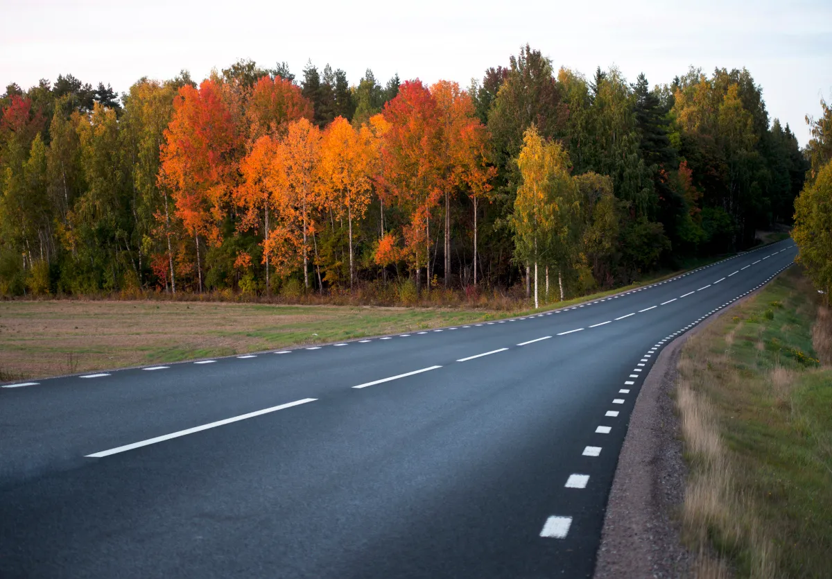 Tom landsväg som svänger till höger med träd i höstfärger längs sidan.