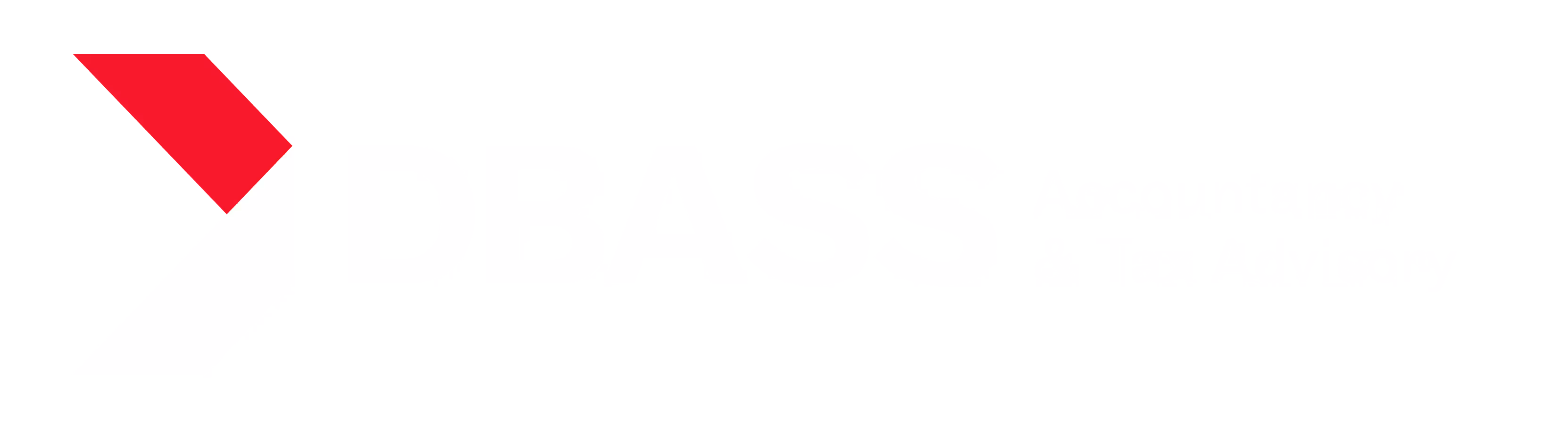 Red abstract angular shape on a white background.