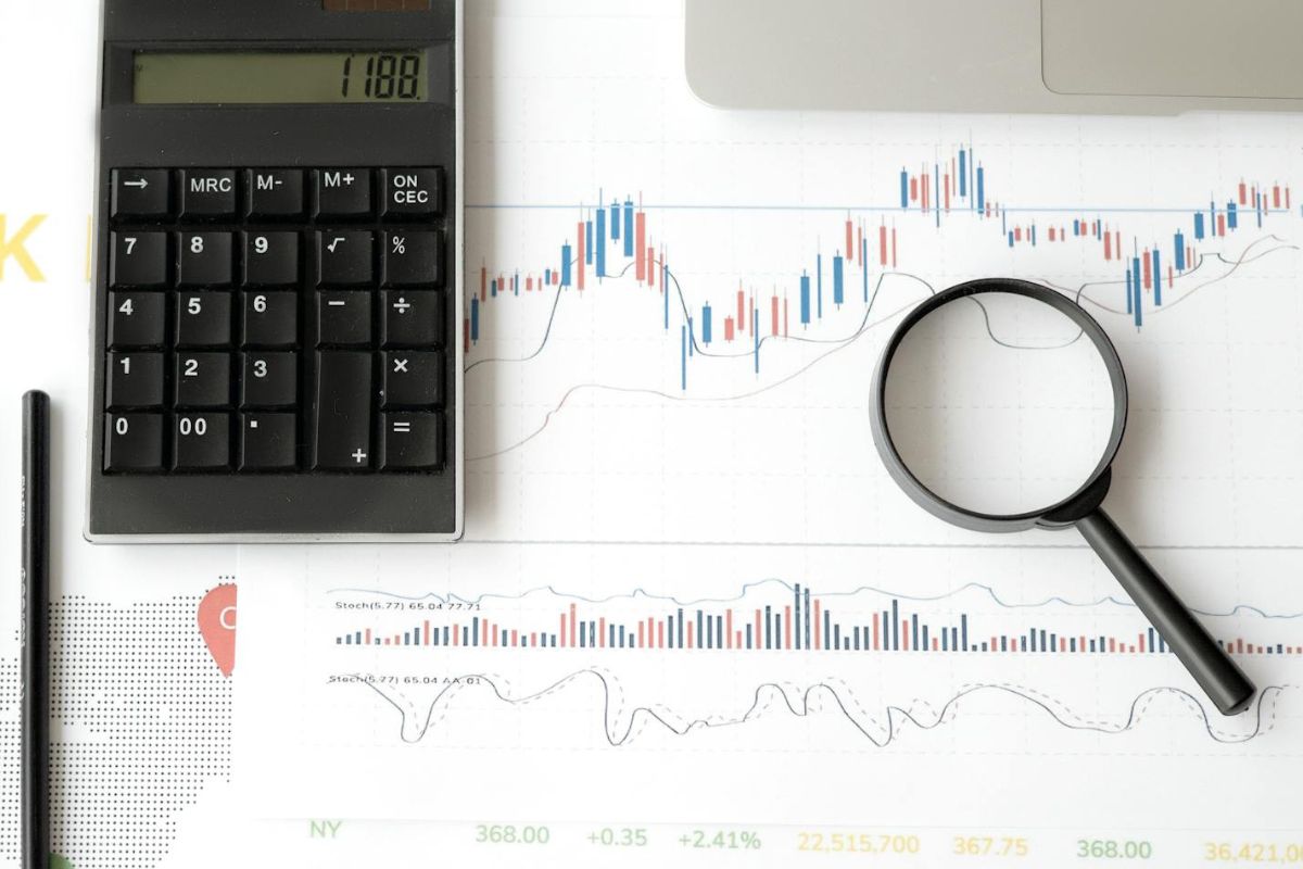 How To Avoid A Revenue Audit