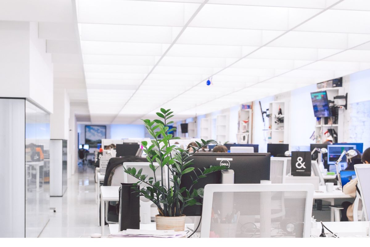 Determining The Employment Status Of An Individual- What You Need To Know.