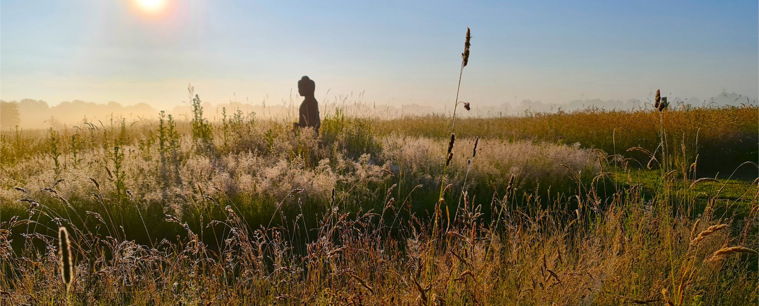 Sunlit meadow with tall grasses and wildflowers, featuring a dark silhouette of a person in the middle distance under a clear blue sky.