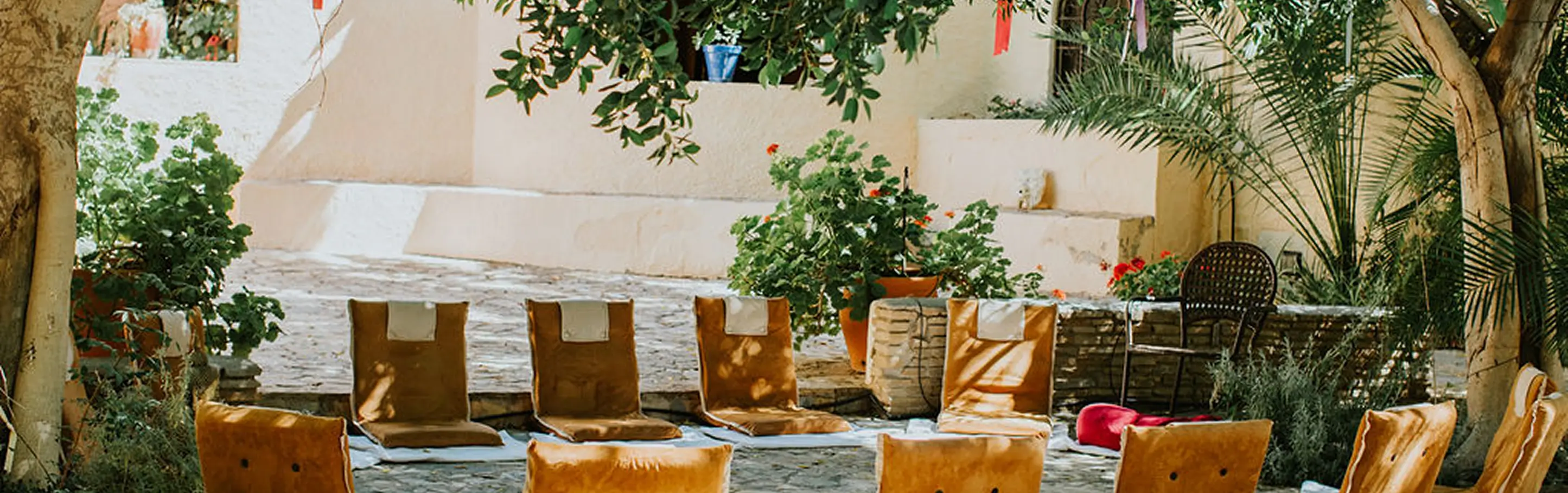 Outdoor seating area with multiple cushioned floor chairs arranged in a circle under trees and surrounded by plants.