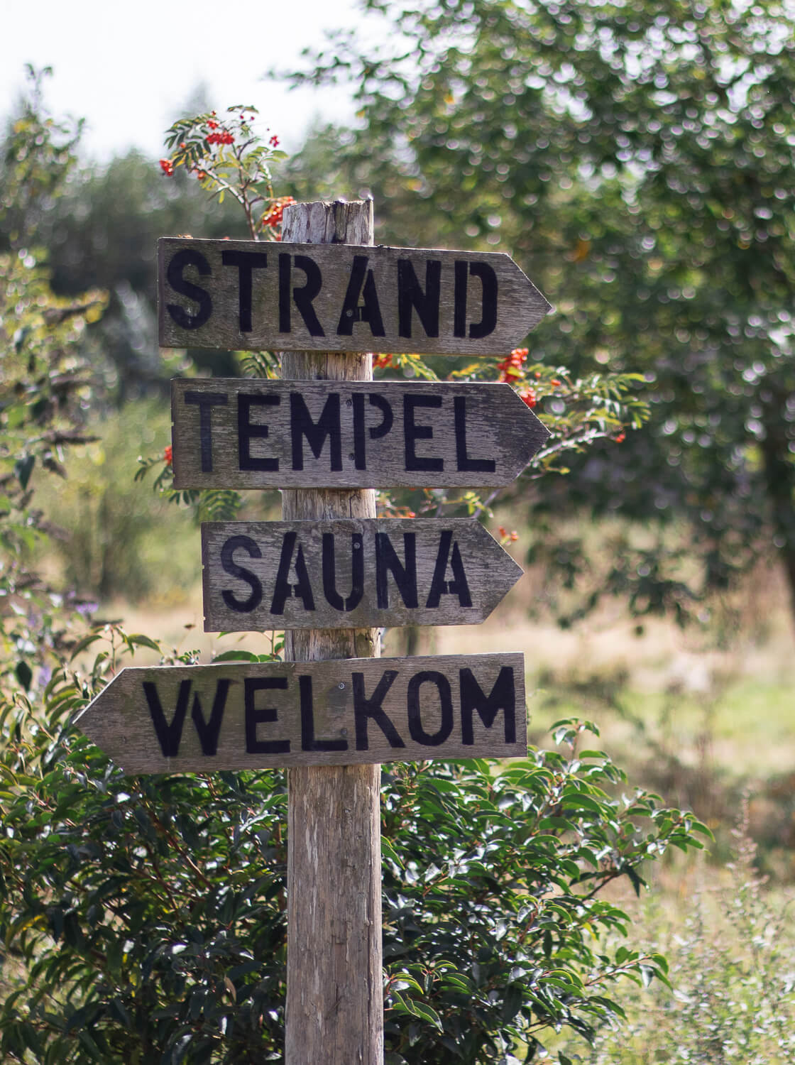 Wooden signpost with four directional arrows pointing to Strand, Tempel, Sauna, and Welkom in a green outdoor setting.