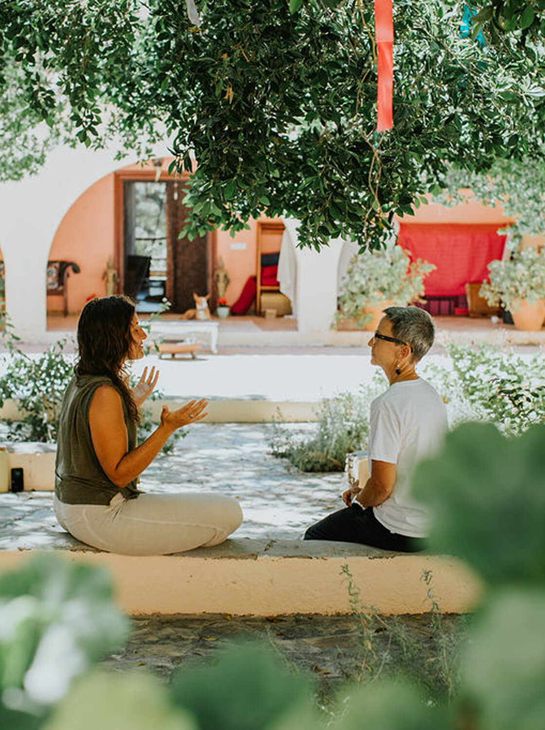 Two people sitting and talking in a shaded courtyard with plants and an arched doorway in the background.