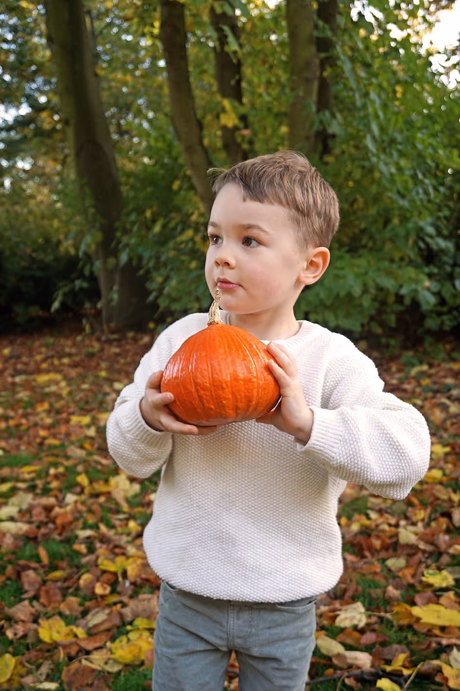 Kleiner Junge mit einem Kürbis in den Händen.