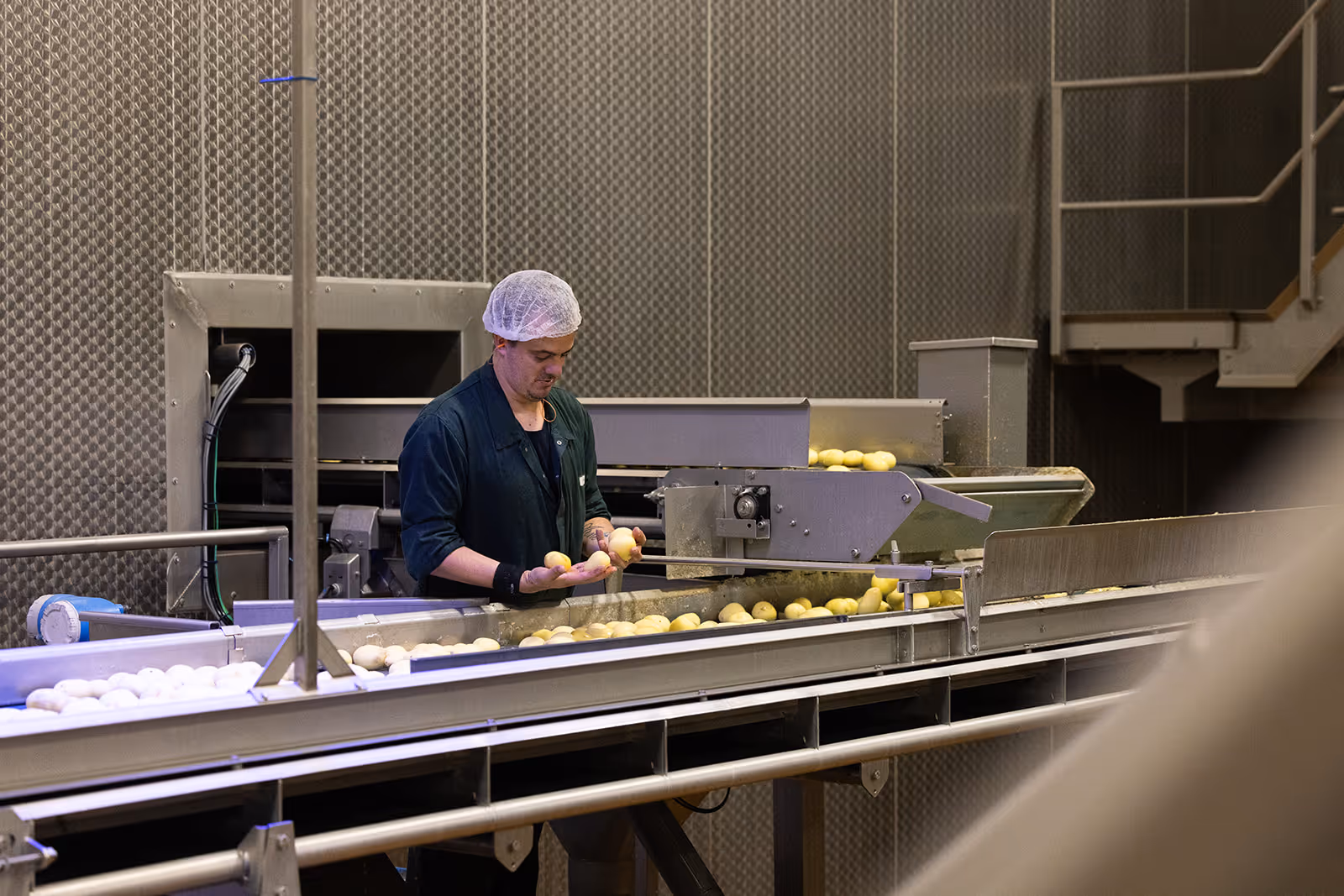 Werknemer met haarnet inspecteert aardappelen op een lopende band in een voedselverwerkingsfabriek.