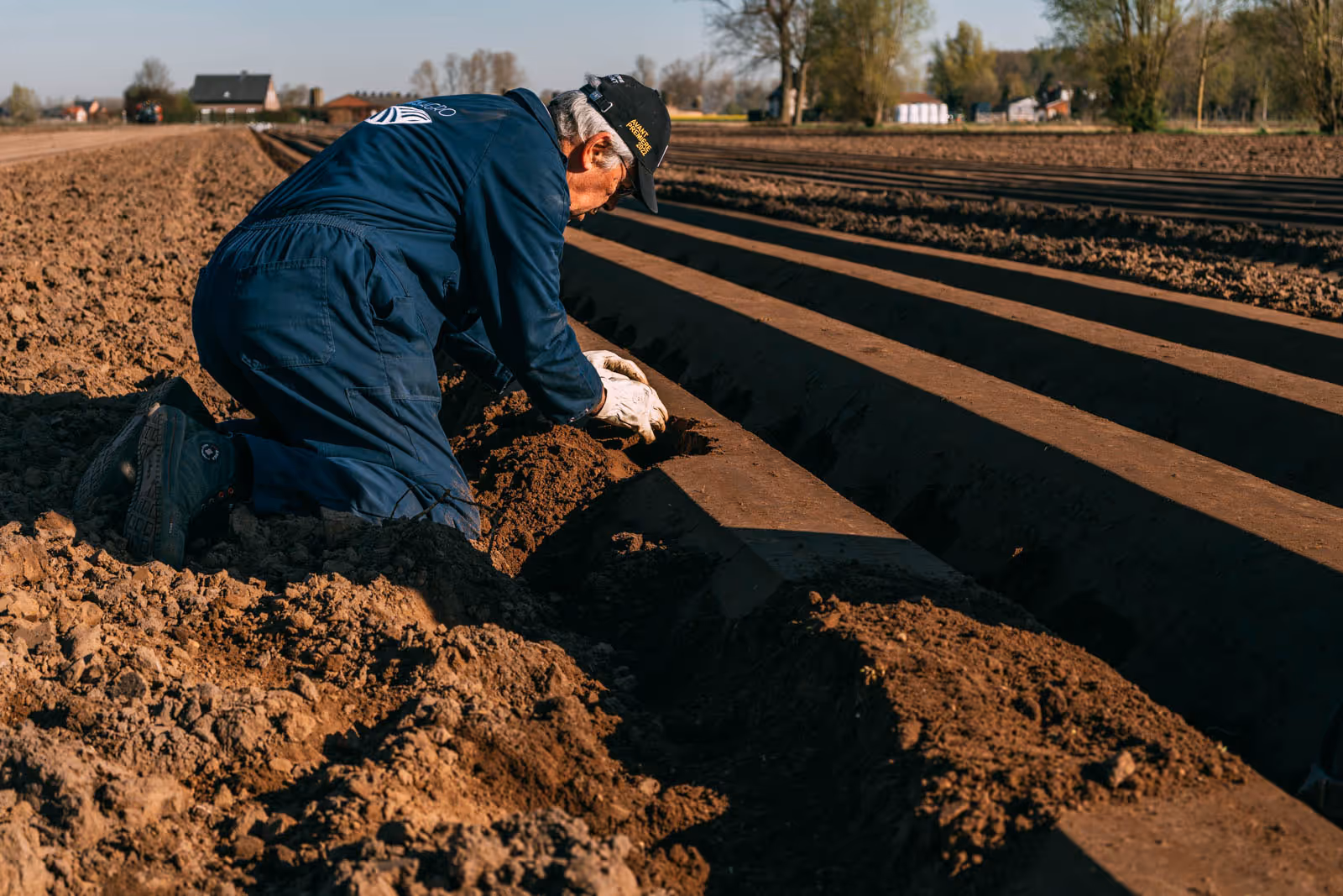 Een persoon in blauwe werkoverall hurkt in een landbouwveld en bereidt de grond voor door aarde op te harken in rijen.