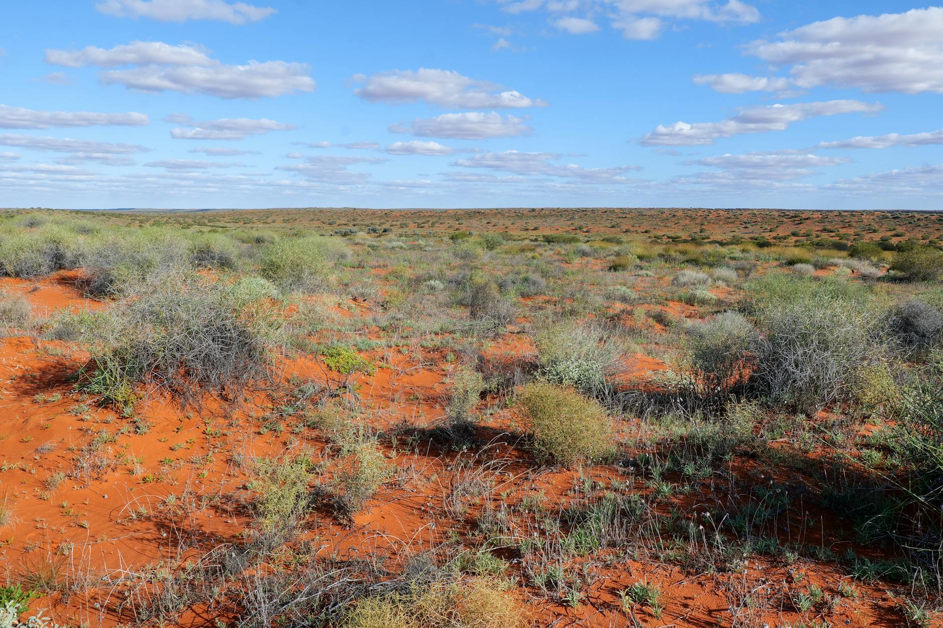 Australia regional outback landscape workforce