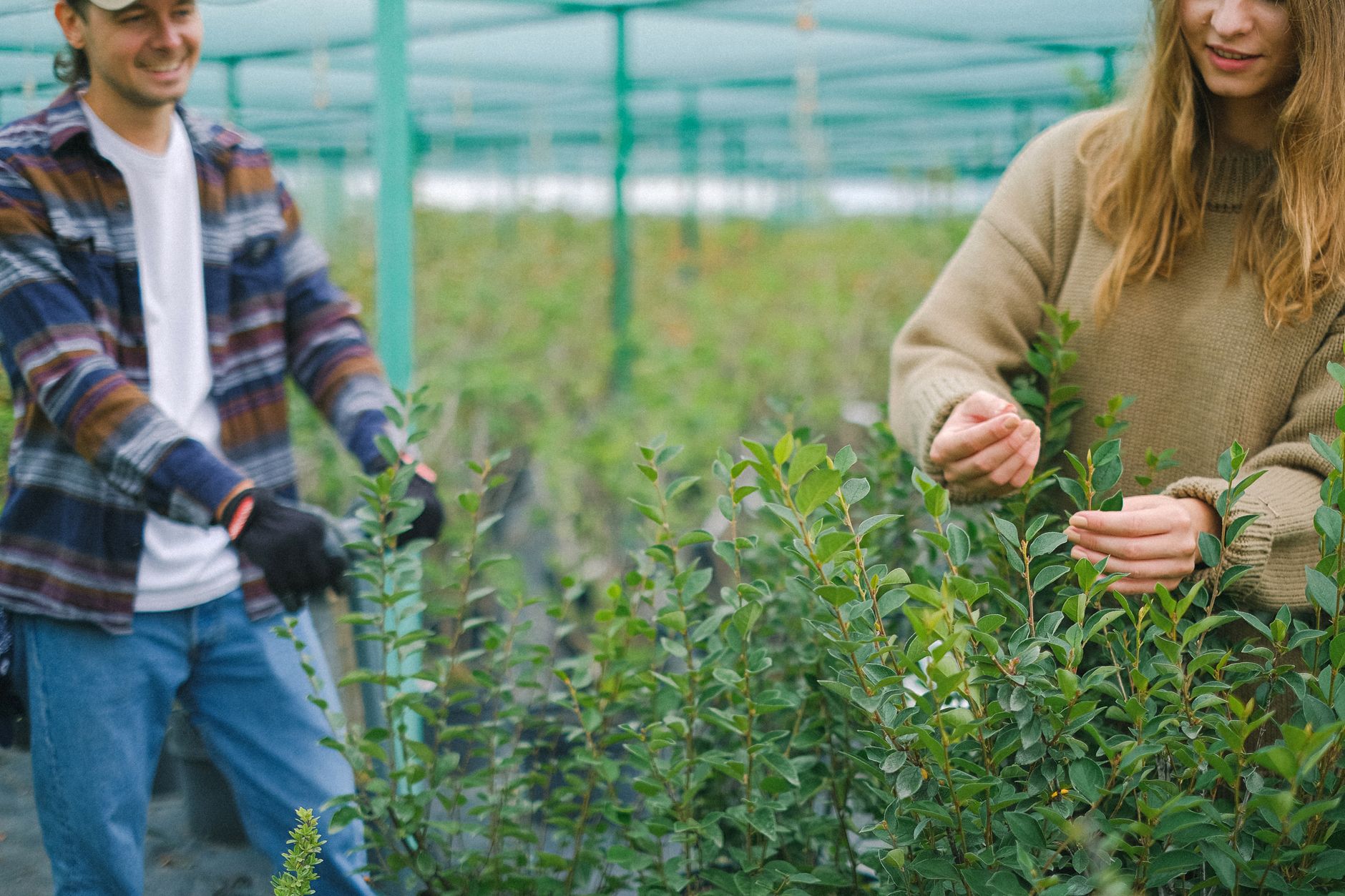 horticulture farm workers Australia compliance