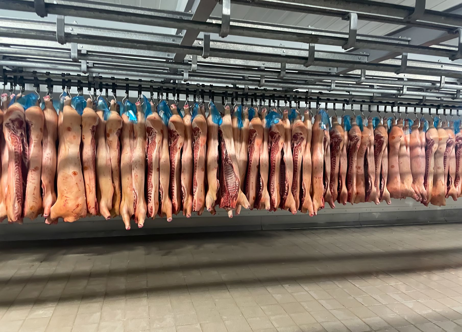 abattoir meat workers Australia regional