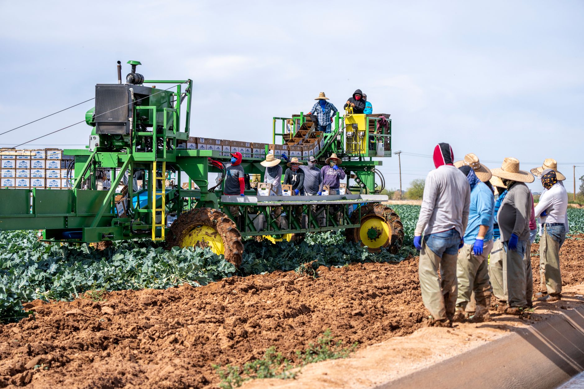 Australian farm harvest backpacker workers