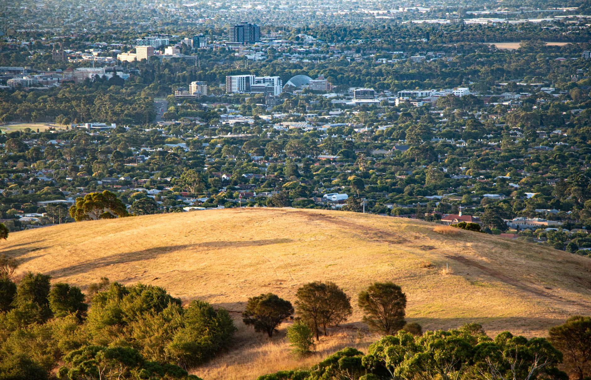 Adelaide city skyline Australia immigration