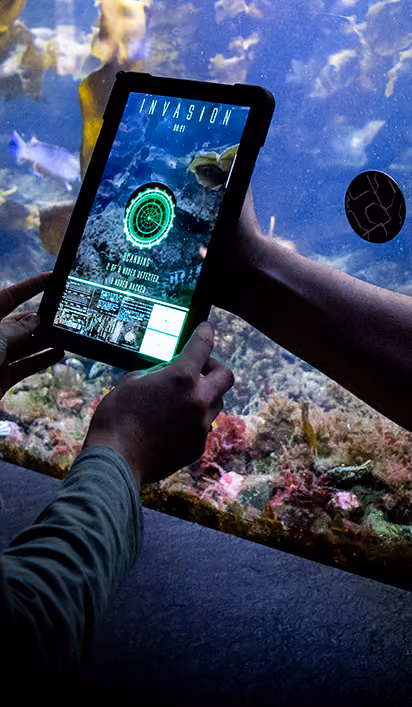 Two people look at an intriguing message on a tablet