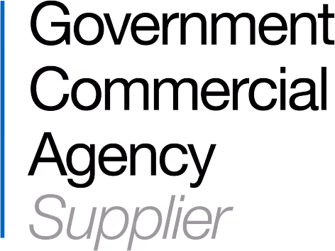 The image shows the text "Supplier" with stylized letter designs and a blue vertical line.