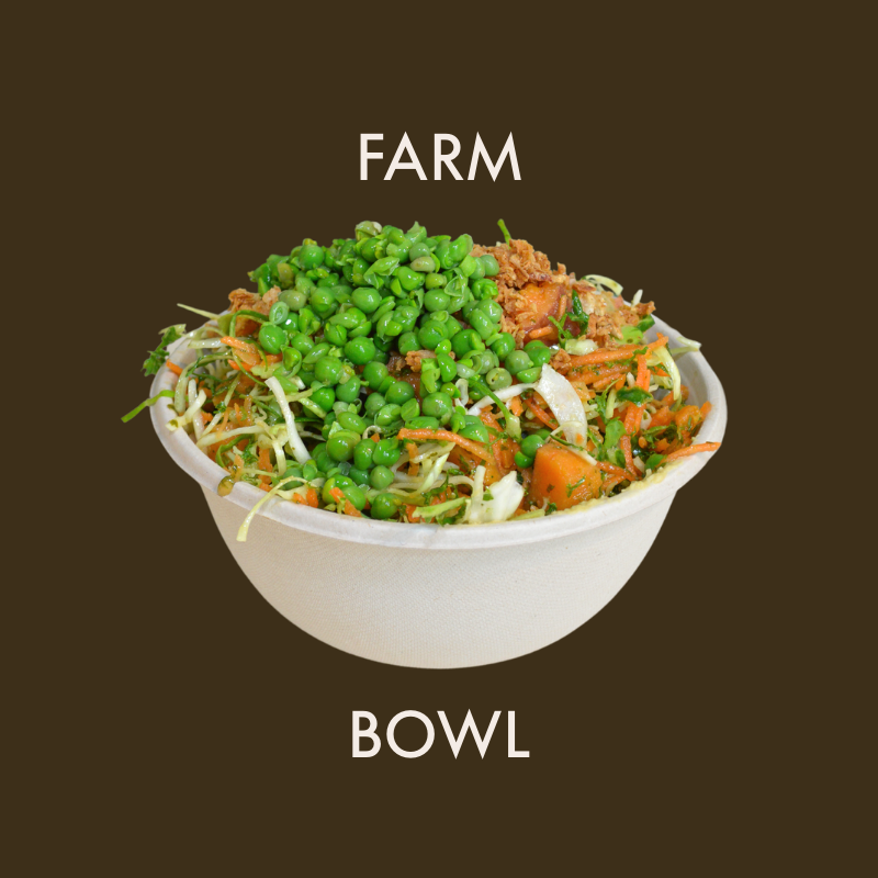 Bewliehill house bowl with kale and topping