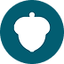 White acorn icon inside a teal circle background.