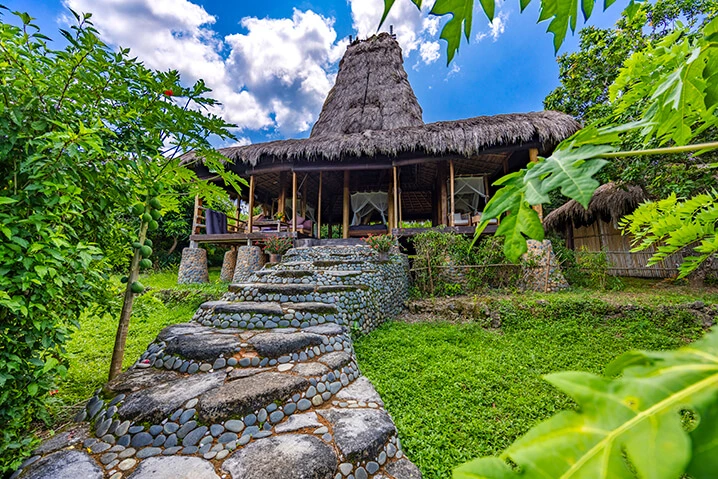 UMA WEKTA