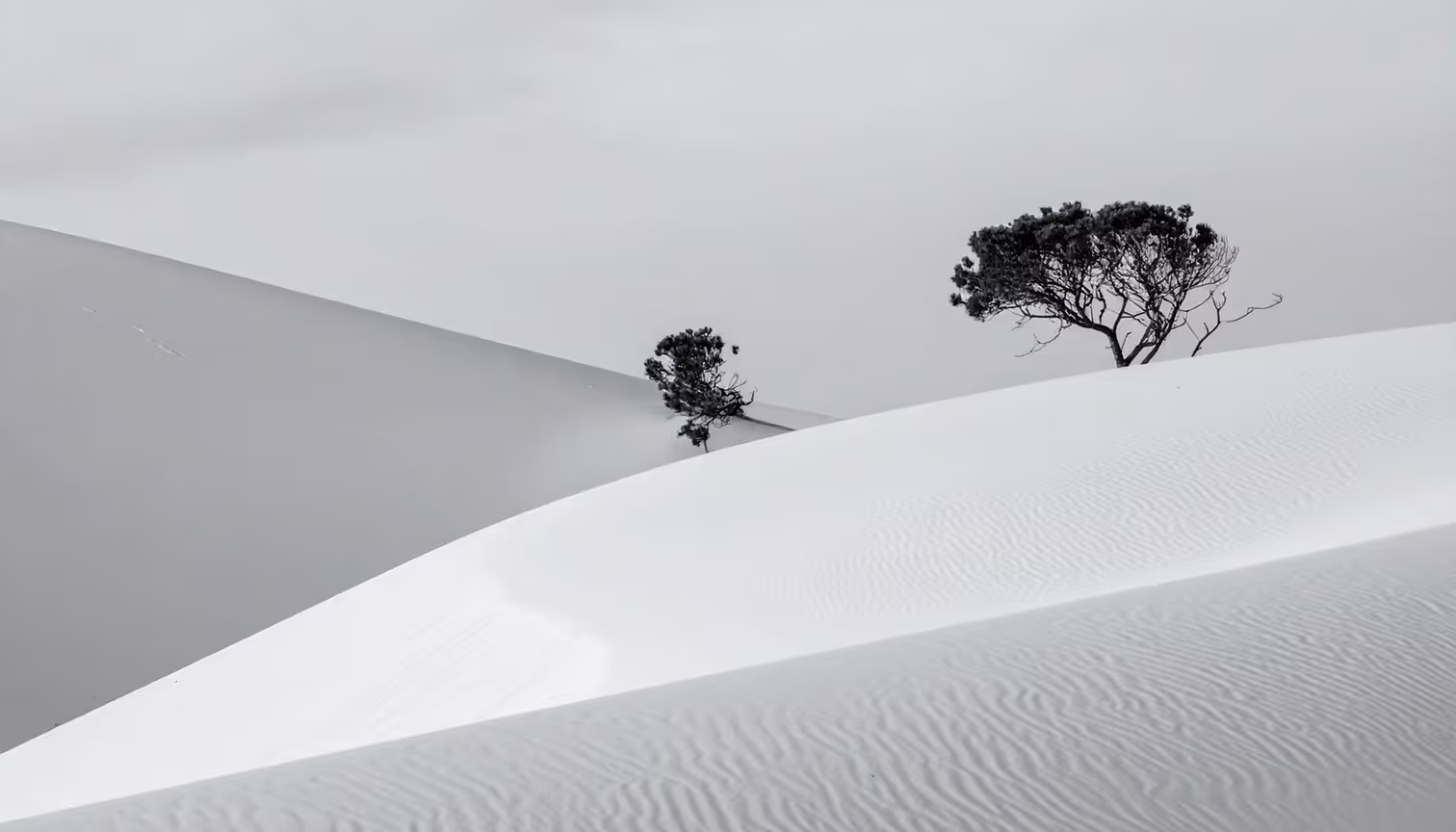 Story Flow - Slider  Image