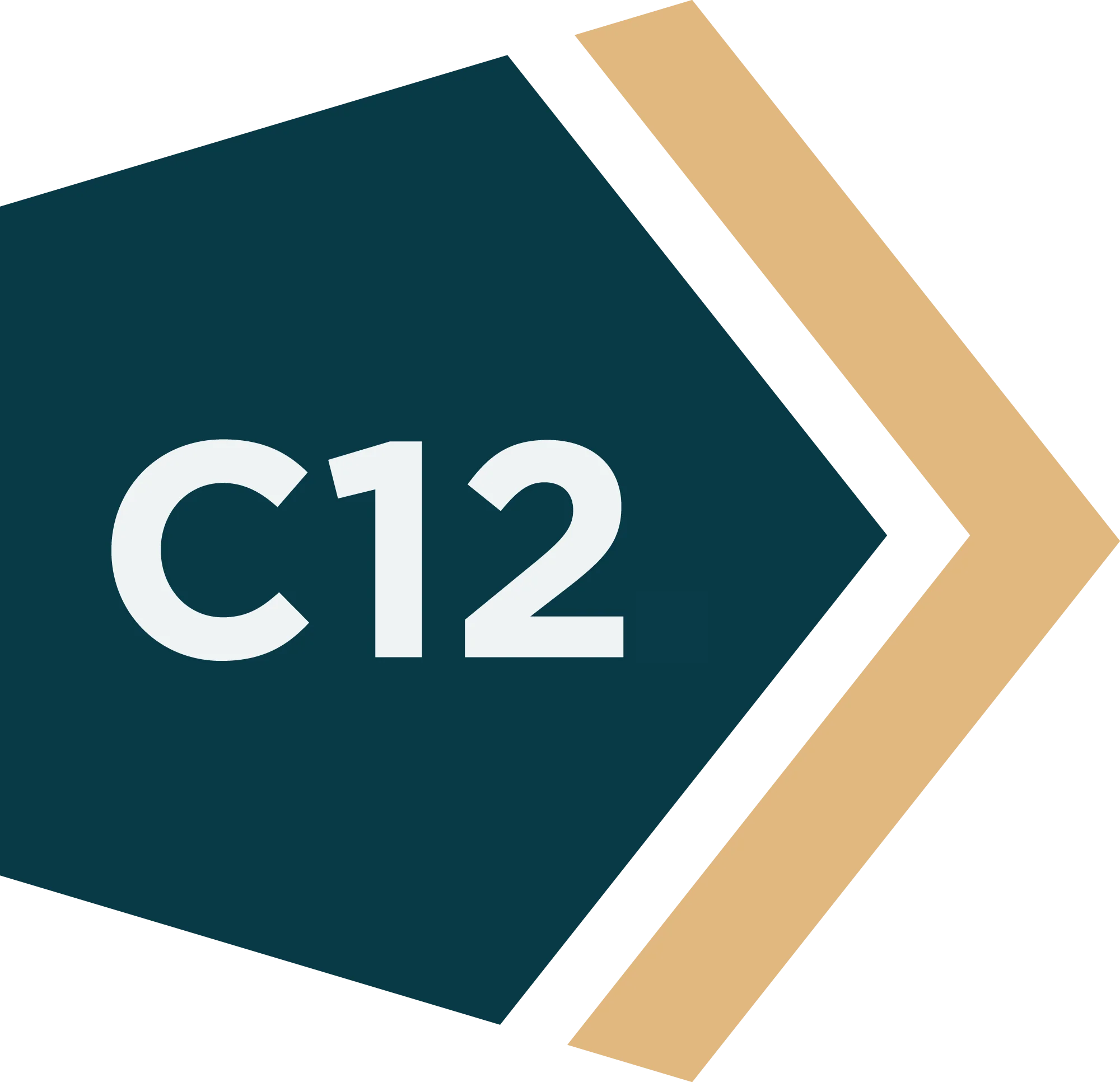 c12 logo