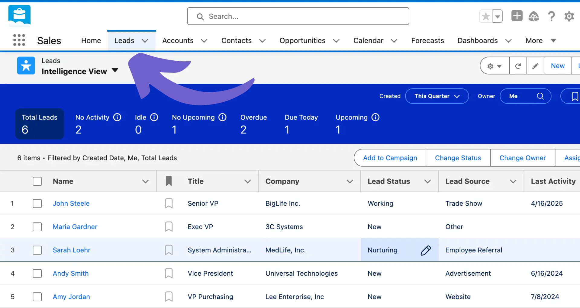 Salesforce dashboard - Leads view