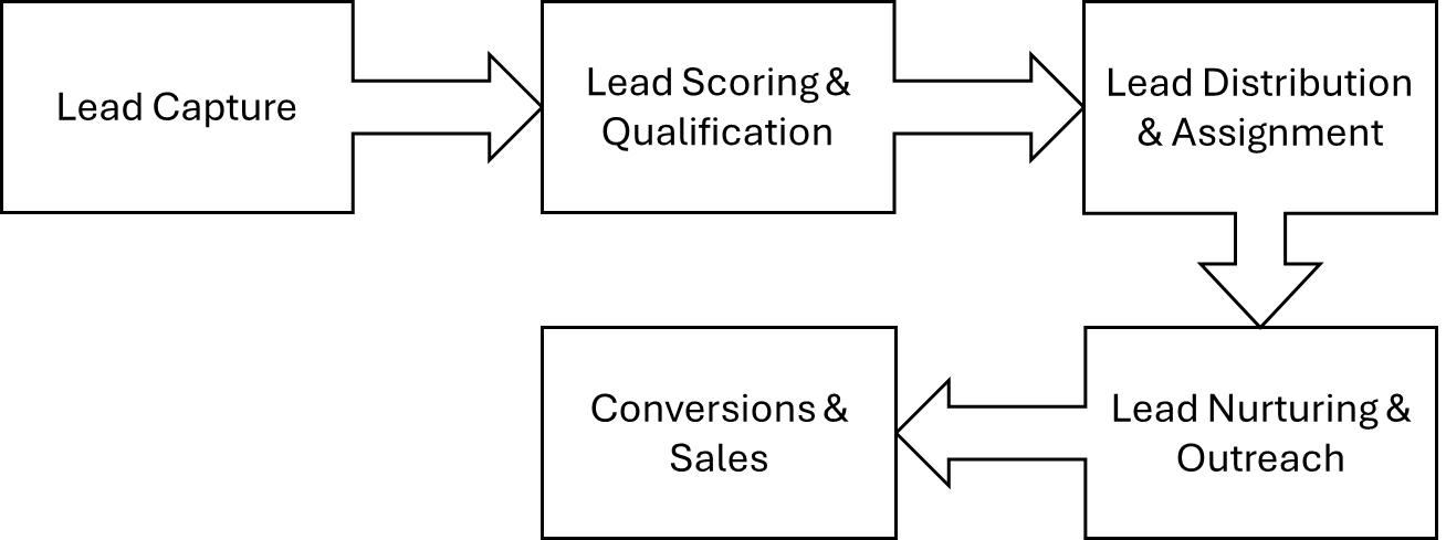 Salesforce lead management workflow infographic