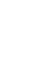 Not Just Analytics LOGO