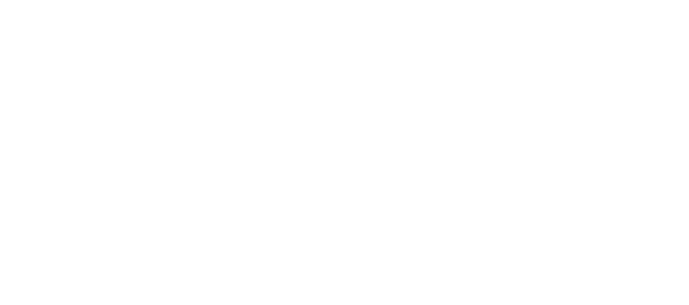 Fortune 500