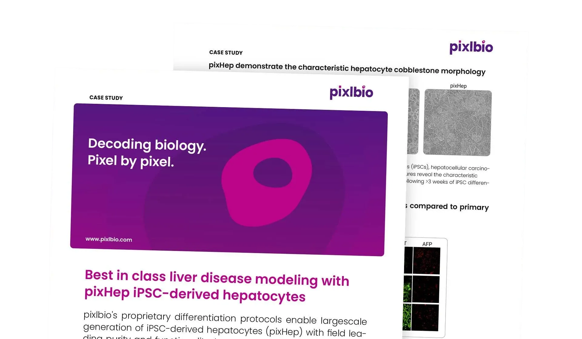  Best in class liver disease modeling with  pixHep iPSC-derived hepatocytes