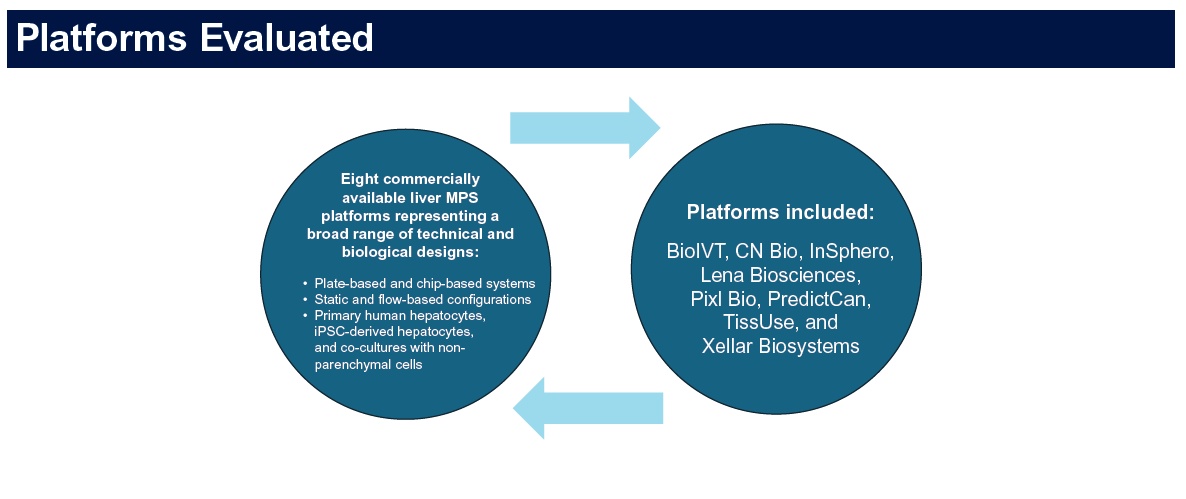 Pixl Bio Joins Landmark FDA–3Rs Collaborative Cross-Platform DILI Study — Now ISTAND-Accepted