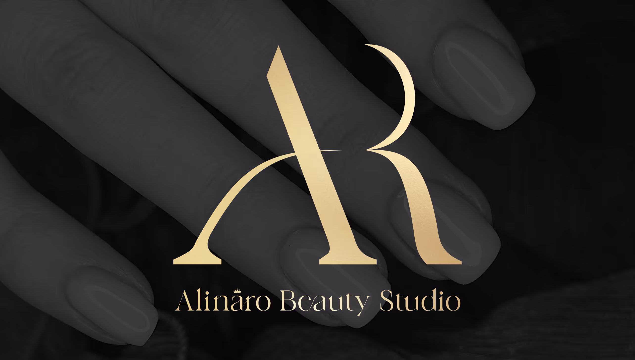 Alinaro logo with a black an white picture of a hand