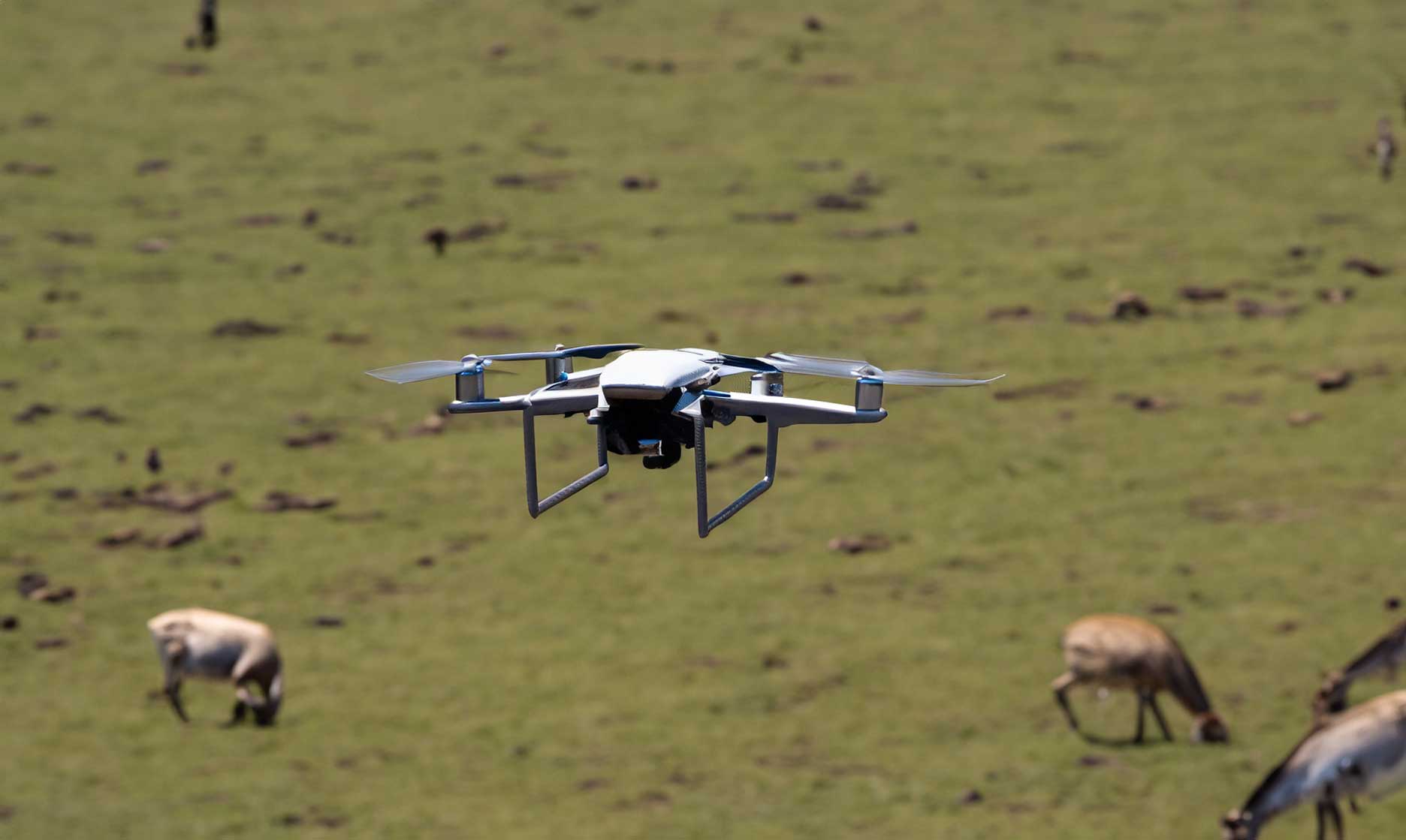 The Impact of Drones on Sustainability