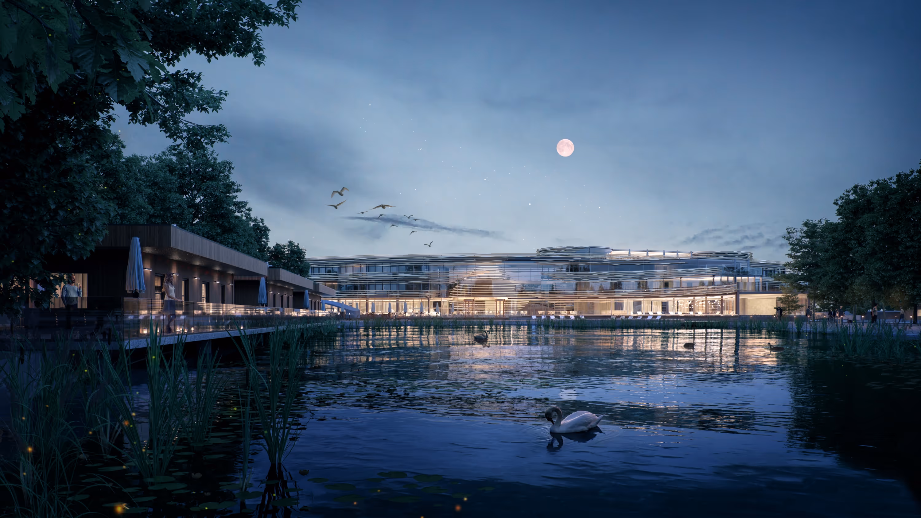 Modern lakeside building illuminated at night with swans swimming in calm water under a full moon.