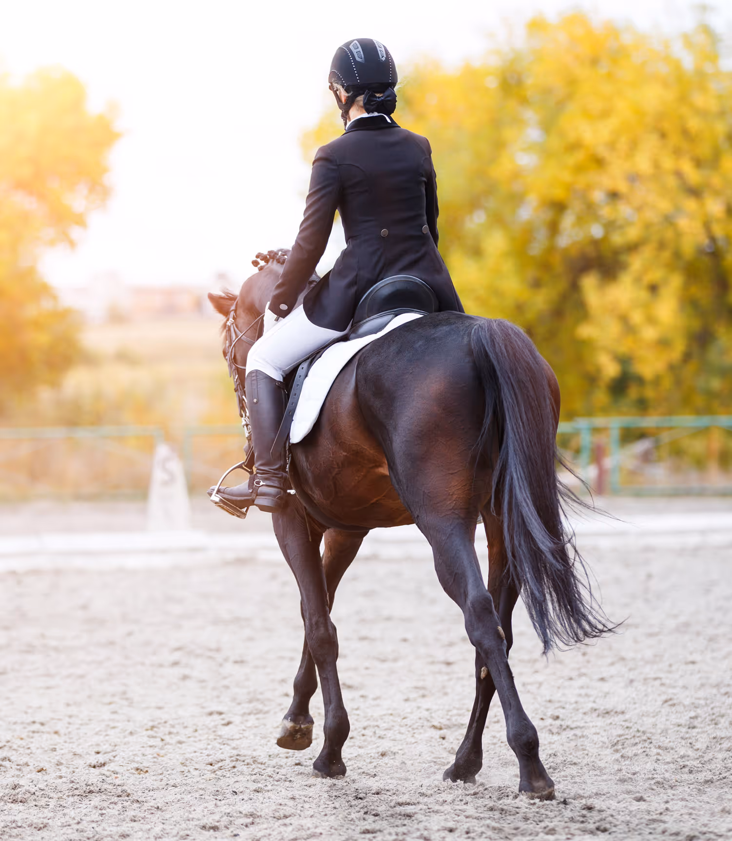 Equestrian rider in formal attire riding a dark brown horse on a sand arena with autumn trees in the background.
