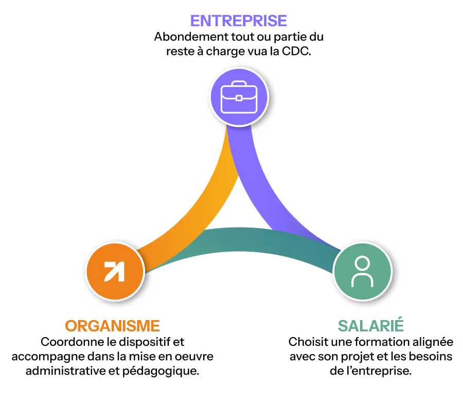 Schéma illustrant la relation entre entreprise, salarié et organisme de formation.
