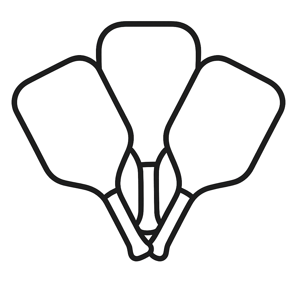Black outline of three pickleball paddles showing that Padel Park has three pickleball courts