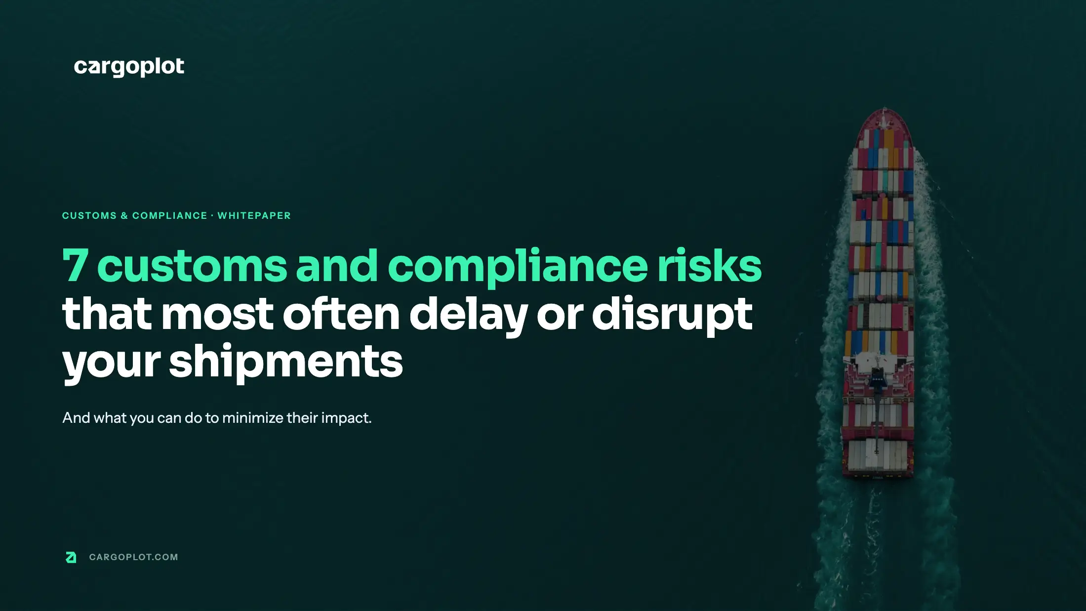 The customs and compliance risks slowing down your shipments