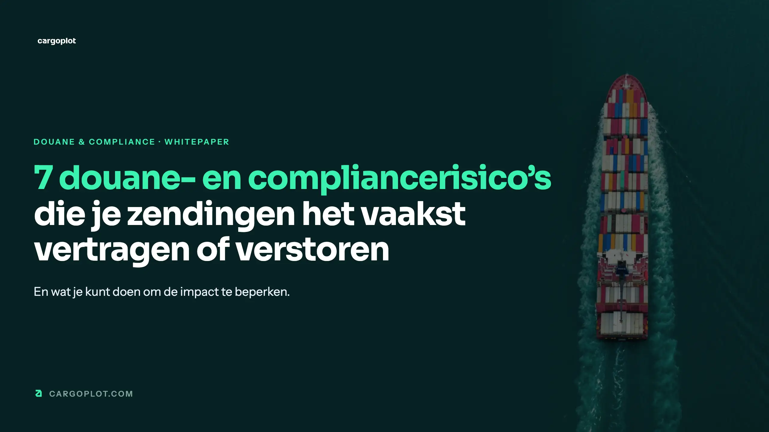 De douane- en compliancerisico's die je zendingen vertragen