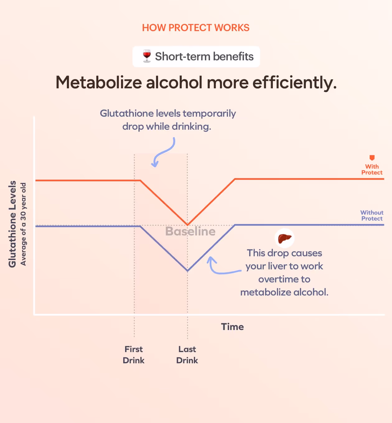 Metabolize alcohol more efficiently.