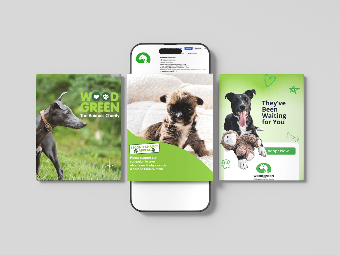 Phone showing multiple social media posts as part of a cohesive marketing campaign