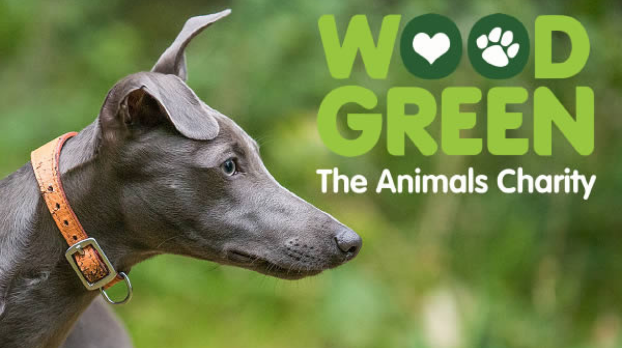 Social media campaign mockup featuring campaign animals