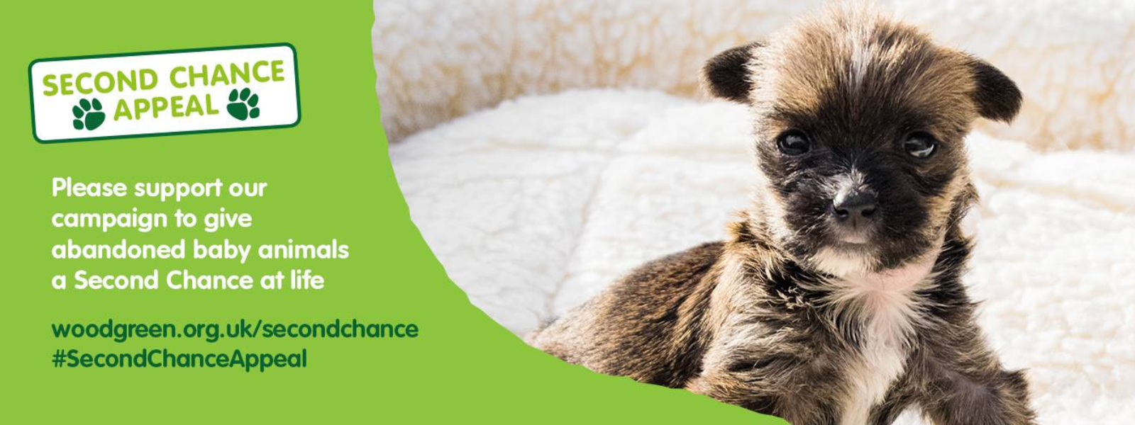 Heartwarming Wood Green campaign social post