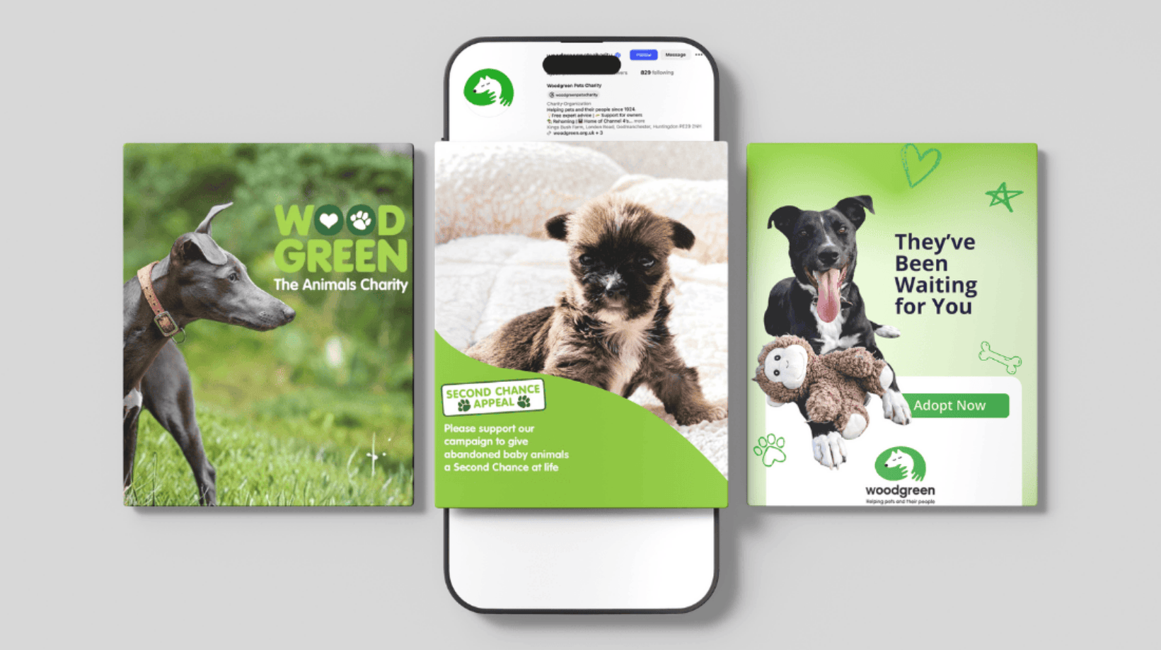 Social media graphic for Wood Green fundraising campaign featuring a rescued dogs and donation call-to-action