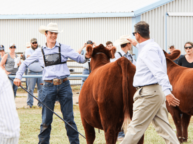 Next Generation red angus