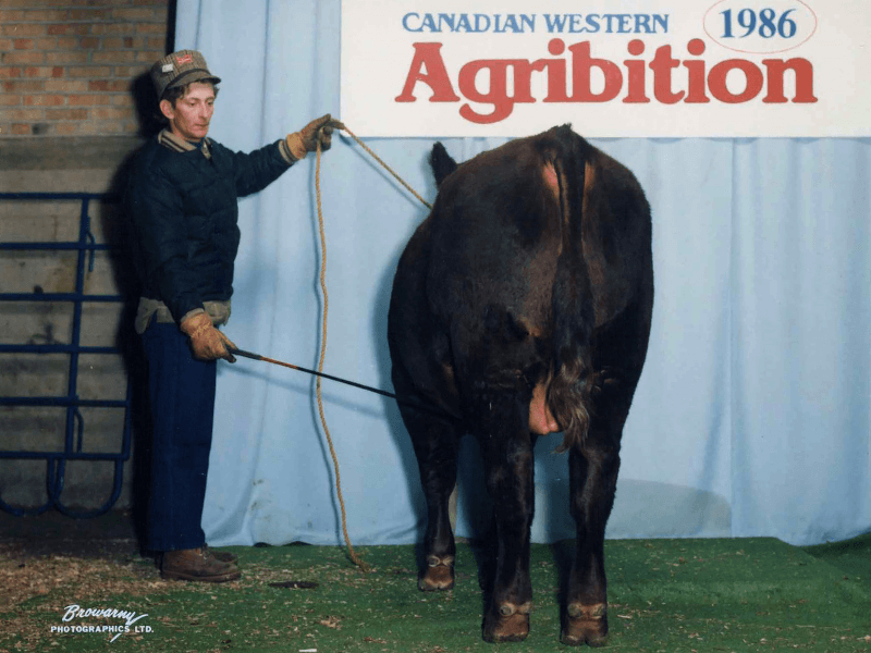 Canadian Western Agribition 1986