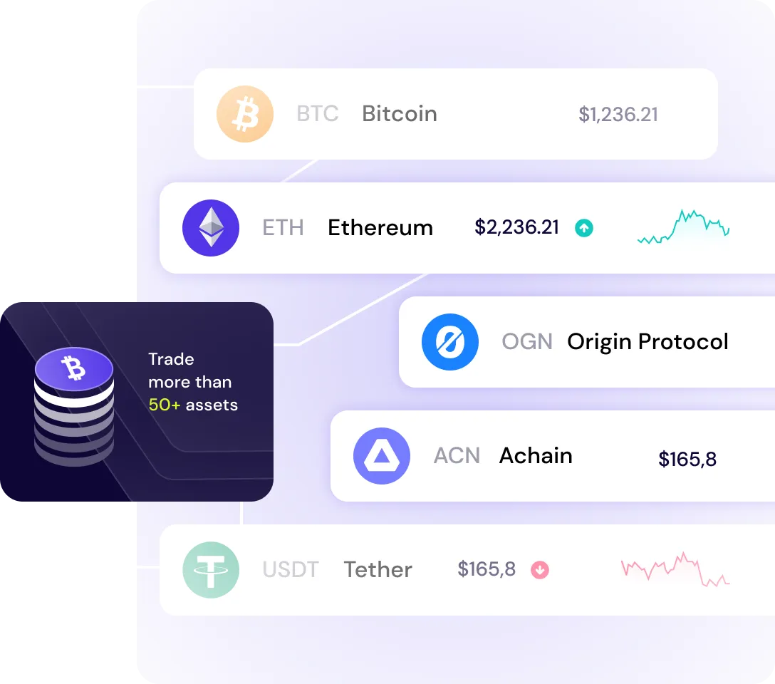 Cryptozy Assets - Hero Illustartion